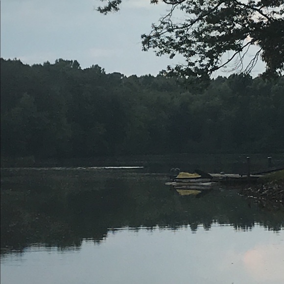 Meet your Posher, Ryder - Picture 1 of 1